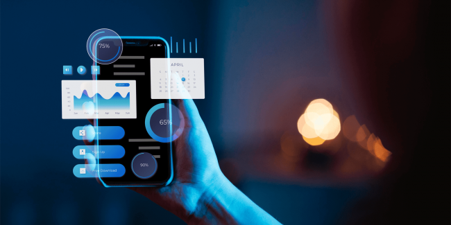 Application optimization Services